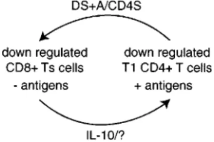 Fig. 4: a new model of cross regulation of human anti-leishma- anti-leishma-nia responses showing the role of DS+A (supernatant  gener-ated from peripheral blood mononuclear cells from skin test positive adults by Leishmania antigen stimulation) and CD4S (