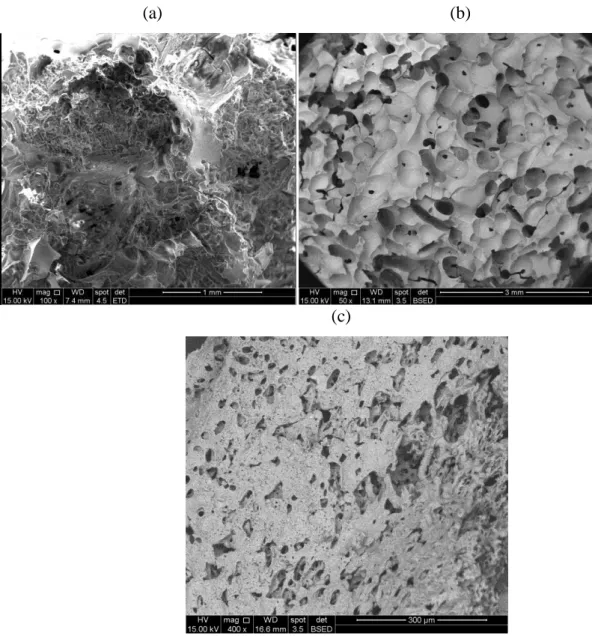 Figura 3.8- Imagem de MEV dos scaffolds produzidos com adição de cera, parafina 1 e  parafina  2  tratados  termicamente