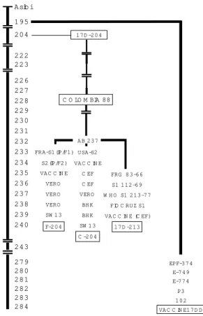 Fig. 2: passage history of the original yellow fever (YF) Asibi strain and derivation of YF 17D vaccine strain and its substrains