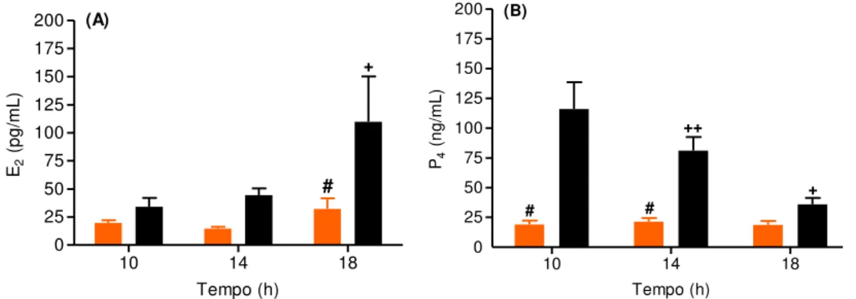 Fig. 13 - Concentração plasmática de estradiol (A) e progesterona (B) de animais jovens ( ) e senis  ( )  (n=7-8  animais/horário),  com  aplicação  do  teste  ANOVA  Two-way  e  pós –teste  de   Newman-Keuls)