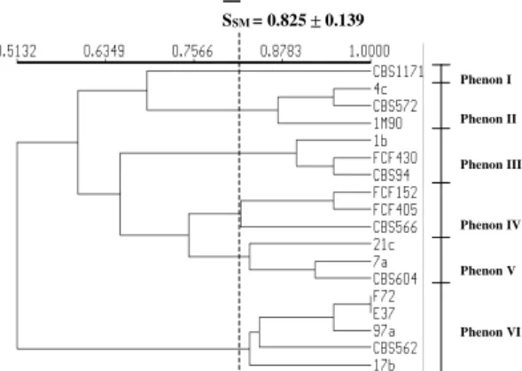 Fig. 2: non-rooted dendrogram of similarity among Candida strains grouped by simple matching associative coefficient and UPGMA algorithm from multilocus enzyme electrophoresis profiles.