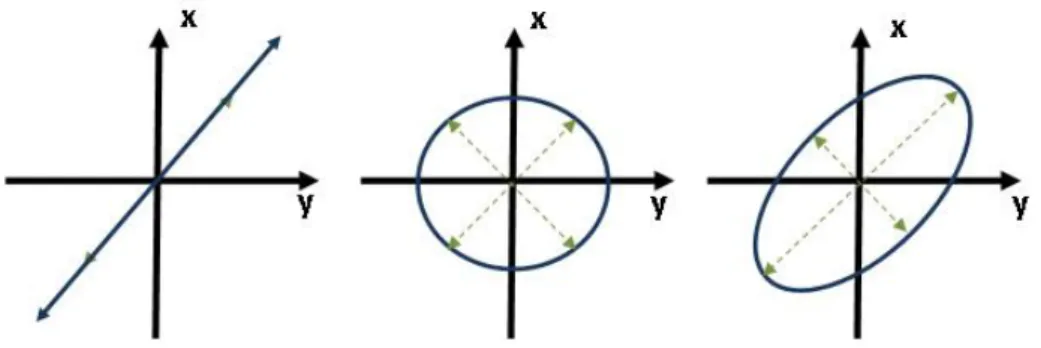 Figura 2.15: Polariza¸ c˜ ao Linear / Circular / El´ıptica