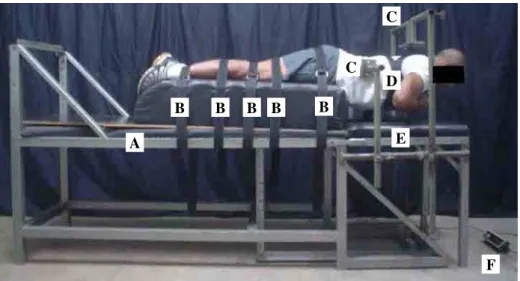 Figura 1 – Postura e estação de teste utilizada no estudo. A: mesa de teste; B: cintos de  segurança; C: limitadores de movimento; D: colete; E: célula de carga; F: indicador  digital