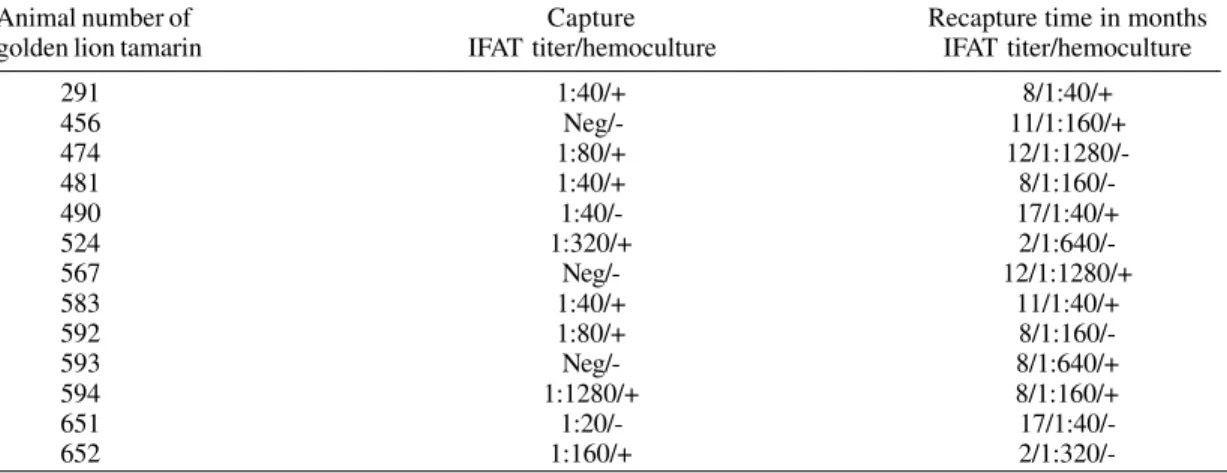 TABLE  II