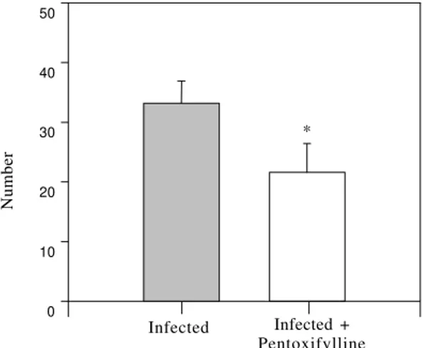 Fig. 2: involutive granuloma number in groups.  A signifi- signifi-cative diminution of hepatic Schistosoma mansoni involutive granuloma number was evident after treatment with pentoxifylline (p &lt; 0.01).01 02 03 04 05 06 07 0NumberInfected Infected + Pe