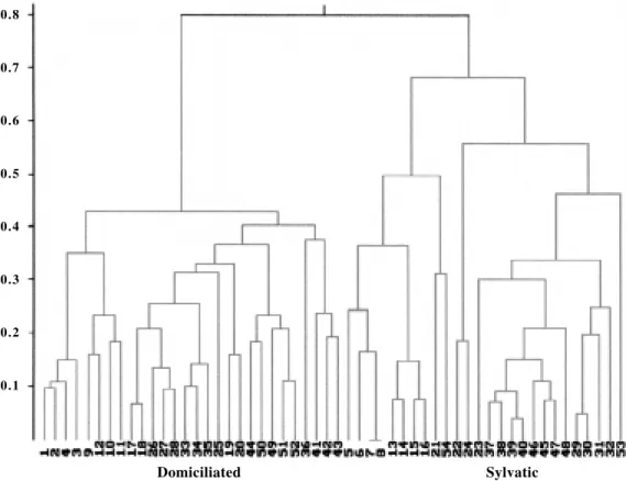 Fig. 1: amplification pattern generated by primer RTG 3.