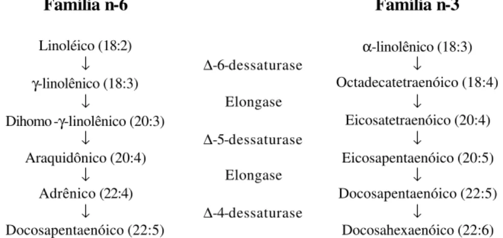 FIGURA 1. Vias metabólicas dos ácidos graxos essenciais das séries n-6 e n-3. Fonte:  HORROBIN, 1992