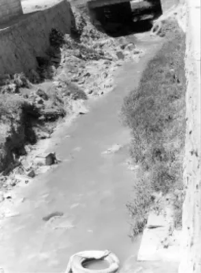 Fig. 3: a view of Bamya stream flowing along the border of Sinekli shantytown polluted with wasters and garbages.