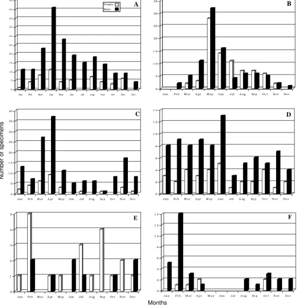 Fig. 4: number of specimens of the six sylvatic species of triatomines captured at different times of the year