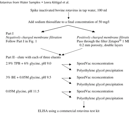 Fig. 3: rotavirus concentration using different membrane filters, eluents and reconcentration methods.