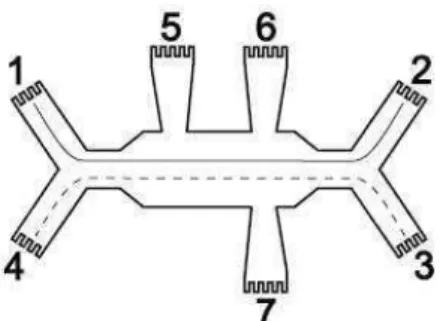 Figura 2.4 : Esbo¸co da amostra utilizada nas referˆencias [3–5, 11]; os bra¸cos 1, 2, 3 e 4 s˜ ao utilizados para inje¸c˜ ao de corrente, enquanto os outros s˜ ao para medir a volt´ agem