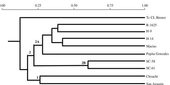 Fig. 4: phenogram produced by the unweighted pair-group method and Jaccard’s similarity coefficient based on the molecular karyotype of Trypanosoma rangeli strains and the T