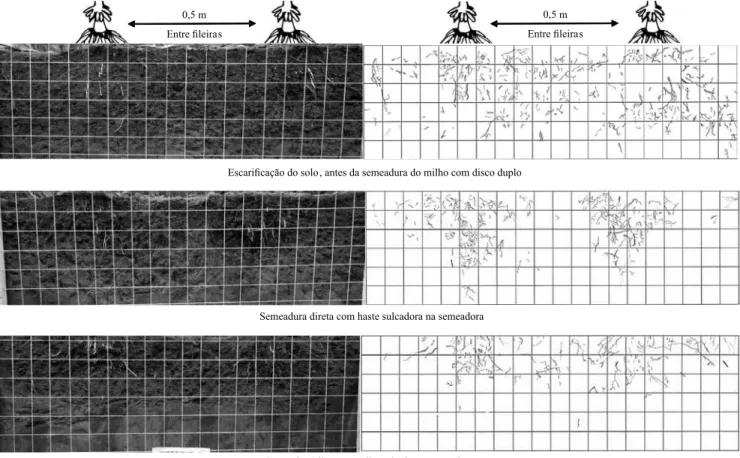 Figura 3.  Distribuição espacial do sistema radicular de milho, no estádio de pendoamento, com fotograia de trincheira  (esquerda) e desenho das raízes (direita) em malha de 0,05x0,05 m, em Santa Maria, RS. 