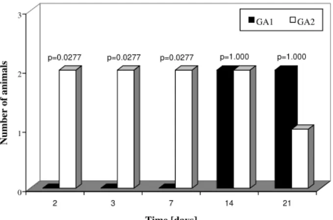 Fig. 1: number of animals with inflammatory infiltrate in the gas- gas-tric corpus. GA1-animals inoculated on a one-time basis;  GA2-animals inoculated on a two consecutive days.