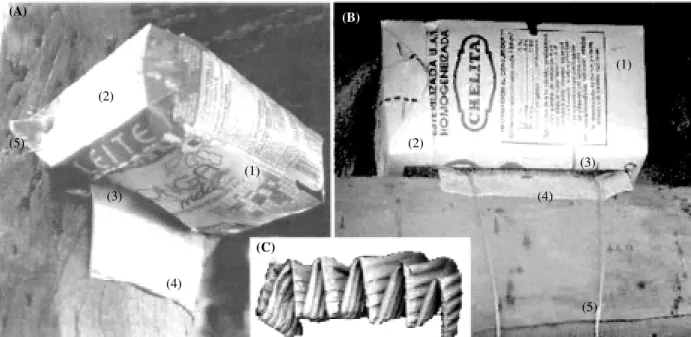 Fig. 1: Tetra Brik milk boxes used for detecting peridomestic Triatoma infestans and installed on the vertical wooden posts (A) or beneath the thatched roof (B) of each structure