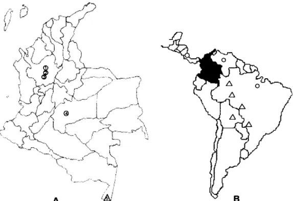 Fig. 1: geographic distribution of Biomphalaria kuhniana (  ) and B. amazonica  (r). A: in Colombia; municipality: 1 Segovia; 2 Porce;