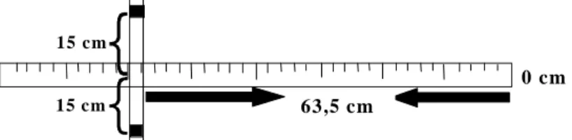 Figura 1: Ilustração gráfica do teste de flexibilidade (GOBBI et.  al., 2005; adaptada de OSNESS et