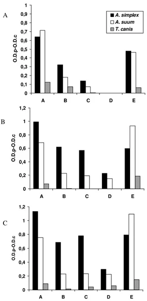 Fig. 2: ELISA IgG responses expressed as O.D.p-O.D.c indexes with serum samples. A: at 1/100; B: at 1/200 and C: at 1/400, of rabbits respectively immunized with Anisakis simplex crude extract (CE) antigen, Ascaris suum CE antigen, or Toxocara canis embryo