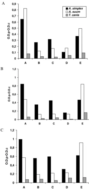 Fig. 3: ELISA IgG responses expressed as O.D.p-O.D.c indexes with serum samples. A: at 1/100; B: at 1/200 and C: at 1/400, of rabbits respectively immunized with Anisakis simplex crude extract (CE) antigen, Ascaris suum CE antigen, or Toxocara canis embryo