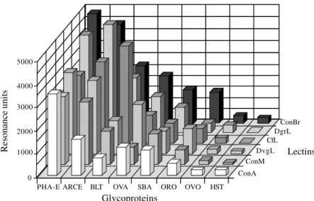 Fig. 2: interaction (measured as resonance units) of different circulating lectins (ConA, ConBr, ConM, CFL, DGL and DVL) used at a constant concentration of 100 µg.ml -1  in HBS pH 7.4 with various immobilized glycoproteins: PHAE-E, ARCE, BLT, SBA and HST 