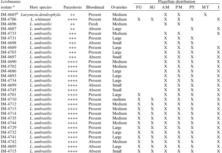 TABLE VI