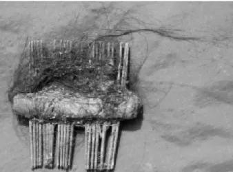 Fig. 5: comb-like tool found in a tomb, Chiribaya Culture, Peru.