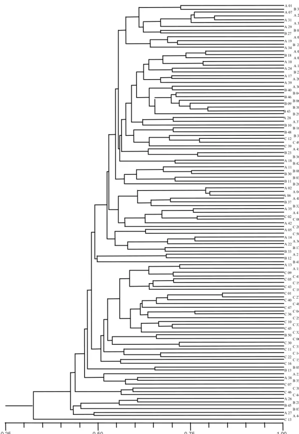 Fig. 2:  NTSYS dendrogram of genetic similarity for Colombian Anopheles  nuneztovari populations analyzed from 65 random amplified polymorphic DNA-polymerase chain reaction loci (A = Buenaventura;  B = Tierralta and C = Tibú).