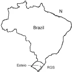 Fig. 1: schematic map of Brazil showing Rio Grande do Sul (RGS) and the approximate location of Esteio