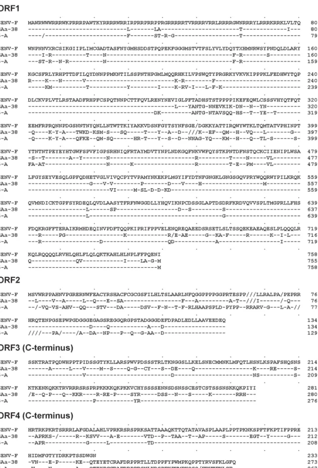 Fig. 3: comparison by alignment of the putative proteins of isolates SENV-F, SAa-38, and 5-A