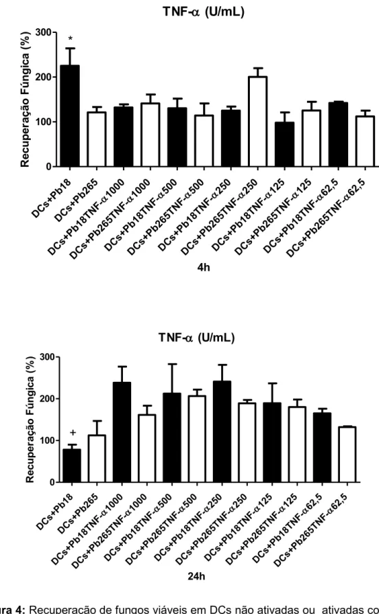 Figura 4: Recuperação de fungos viáveis em DCs não ativadas ou  ativadas com TNF-α por  18 horas e desafiadas com Pb18 ou PB265 por 4 (A) e 24 horas (B)
