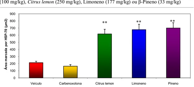 Figura 8: Área de imunomarcação (μm 2 ) para HSP-70 em estômagos de ratos submetidos à  indução de úlcera gástrica por etanol absoluto após tratamento com veículo, carbenoxolona  (100 mg/kg), Citrus lemon (250 mg/kg), Limoneno (177 mg/kg) ou β-Pineno (33 m