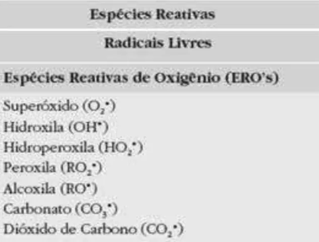 Figura 1. Classificação e nomenclatura das espécies reativas de oxigênio (BARREIROS, 2006) 