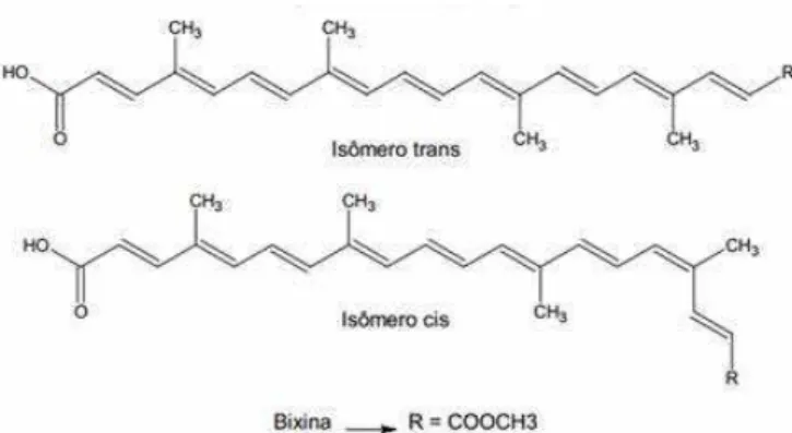 Figura 7. Estrutura do carotenoide bixina, cis e trans (OLIVEIRA, 2005). 