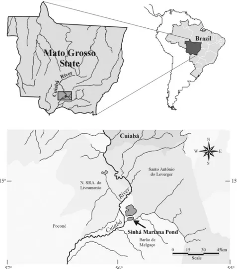 Fig. 1. Studied area showing the Sinhá Mariana pond (Mato Grosso State, Brazil).