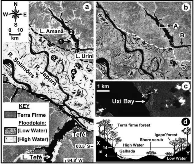 Fig. 1. NASDA JERS-1 radar image of the Tefé region, Brazil: (a) high water (May 1995); (b) low water (September 1995)