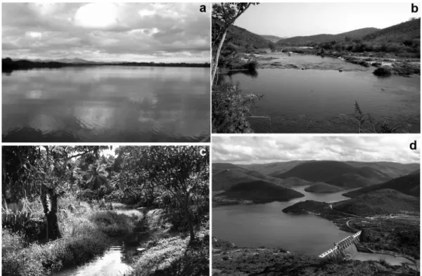 Fig. 2. Partial view of collection sites of Astyanax aff. bimaculatus in the State of Bahia, Brazil: (a) Contas River, upstream  Pedra Dam, Porto Alegre County – site A, (b) Contas River, downstream Pedra Dam, city of Jequié – site B, and (c) Mineiro  stre