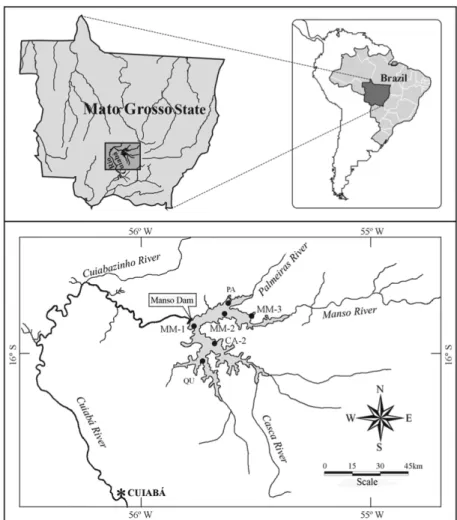 Fig. 1. Study area and location of sampling sites.