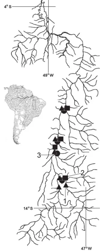 Fig. 2. Rio Tocantins drainage showing the collection locali- locali-ties of Pimelodus stewarti (triangles, 1), P