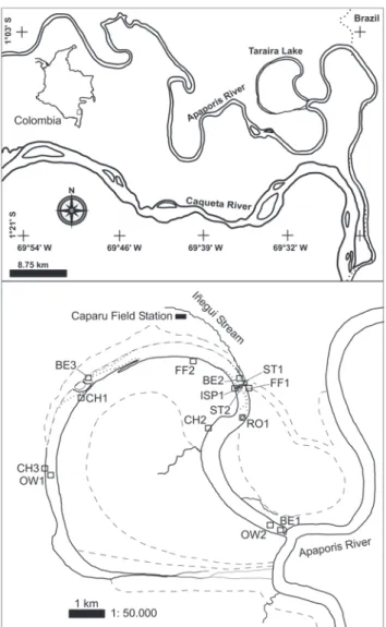Table 2.  Number of sampling sites per habitat during each hydrological season.  Habitat abbreviations are: OW – Open Waters; FF – Flooded Forests; CH – Lagoon channels; ST – Stream; ISP – Isolated Shrub Patches; BE – Beaches; RO – Rocks.