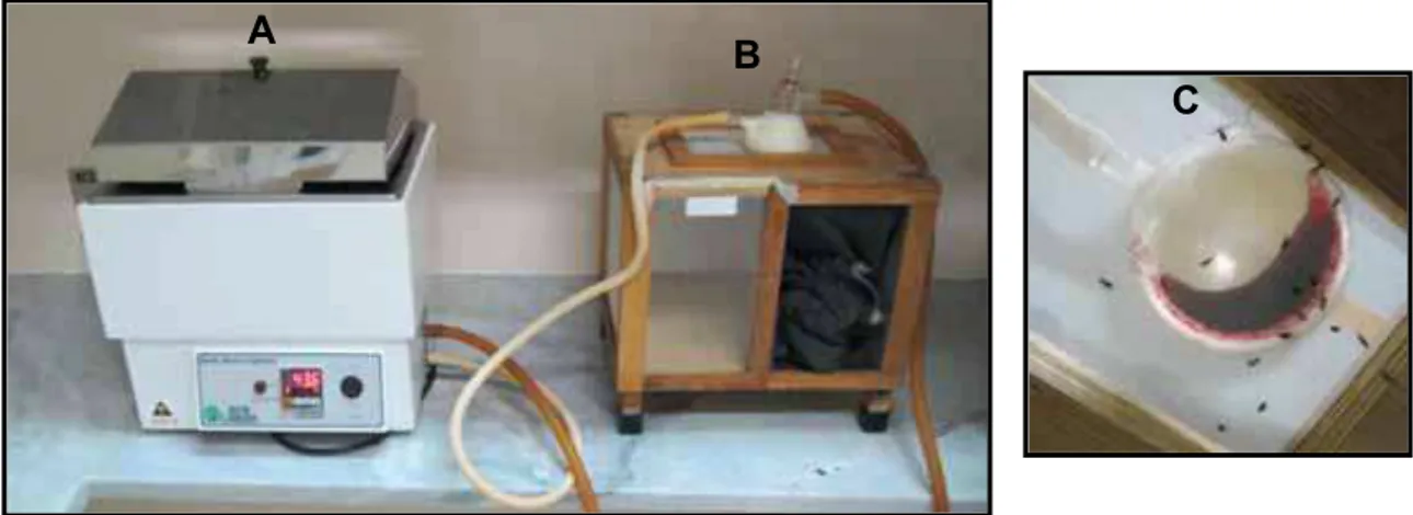 Figura 2. Alimentador artificial utilizado para alimentação de Aedes aegypti,  2013. 