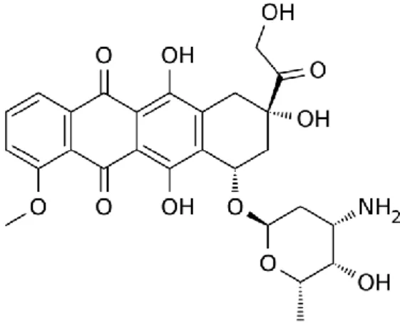 Figura 1 - Estrutura da doxorrubicina (adaptado de Carvalho et al., 2013). 