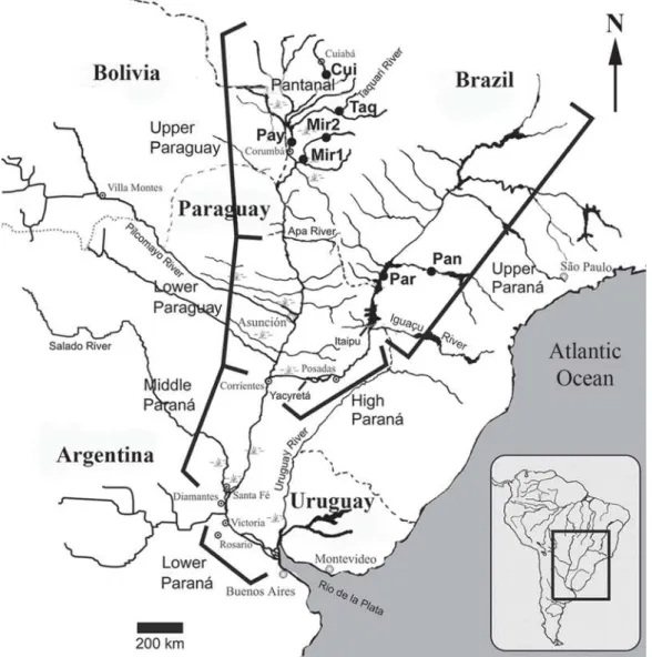Fig. 1.  Sample collection locations on Pantanal of Mato Grosso: rio Cuiabá (Cui), rio Paraguay (Pay), rio Taquari (Taq), rio Miranda (Mir1), rio Aquidauna (Mir2) and, outside Pantanal: rio Paraná (Par), rio Paranapanema (Pan)