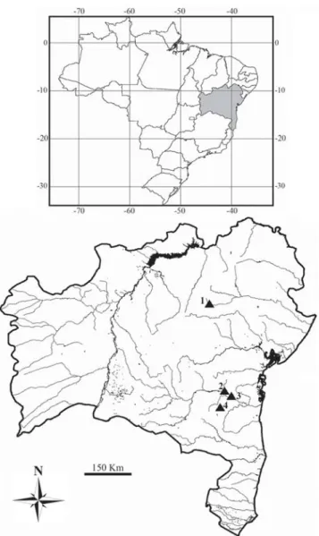 Fig. 1. Contas and Itapicuru River basins (BA). The triangles indicate the collection sites in the following rivers: 1  -Itapicuru (11°78’33”S 37°53’33”W); 2 - Contas (14°28’33”S 39°01’67”W); 3 - Preto do Costa (14°01’67”S 39°88’33”W);