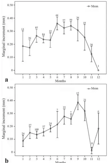 Fig. 4. Marginal increment with mean and 95% confidence intervals for young specimens (a) and for adults (b) of Scomberomorus brasiliensis in the northeastern Brazil.
