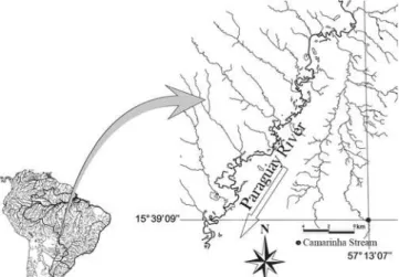 Fig. 1. Study site showing location Camarinha Stream in Serra das Araras, State of Mato Grosso, Brazil.