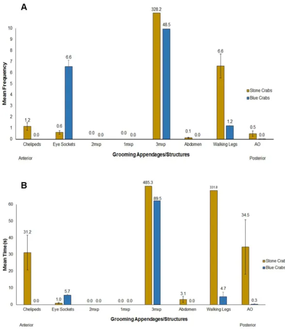 Figure 2.  Grooming appendages of blue and stone crabs for individual observations (30 min trial)