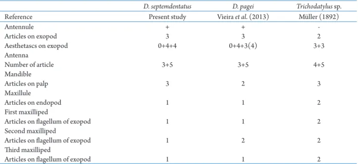 Table 1.  Morphological characters that allow the differentiation and identification of the first juvenile stages of Dilocarcinus  septemdentatus (Herbst, 1848), Dilocarcinus pagei Stimpson, 1871 and Trichodactylus sp.