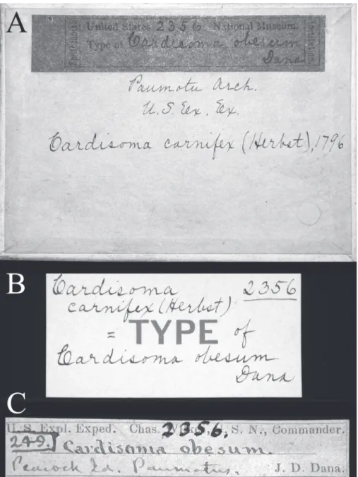 Figure 4.  Labels associated with the lectotype of Cardisoma obesum Dana, 1851. A, box cover; B, C, labels inside box.