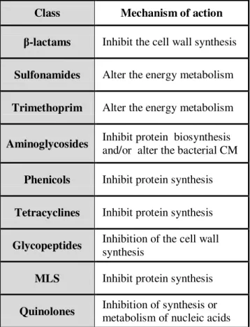 Table I.3. - Mechanisms of action of the most relevant antibiotic classes (Sousa 2005; van  Hoek, Mevius et al