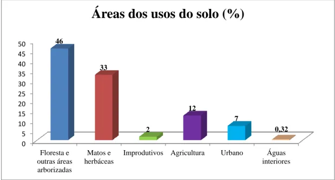 Gráfico 1 – Áreas referentes aos diversos tipos de usos dos solos (Fonte: IFRAM2) 